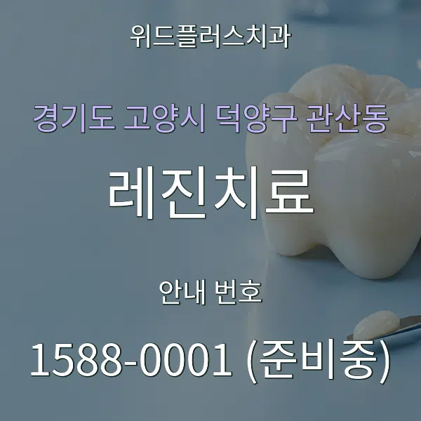 경기도 고양시 덕양구 관산동 레진치료 대표 안내 그래픽