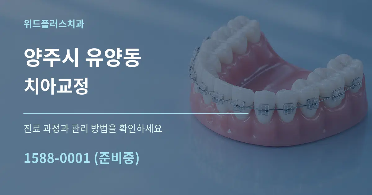 양주시 유양동 치아교정 서비스 이용 안내 그래픽