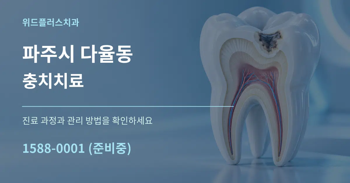 파주시 다율동 충치치료 서비스 이용 안내 그래픽