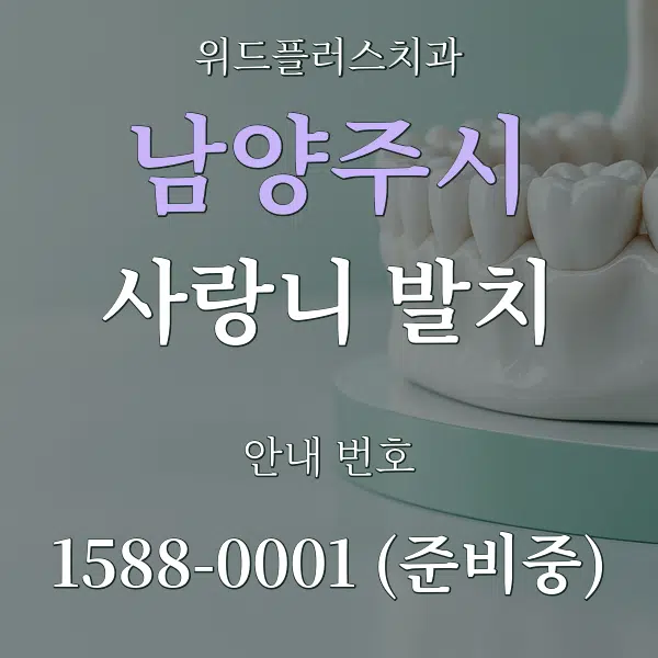 남양주시 사랑니 발치 대표 안내 그래픽