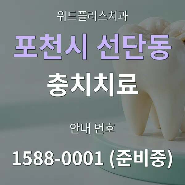 포천시 선단동 충치치료 대표 안내 그래픽