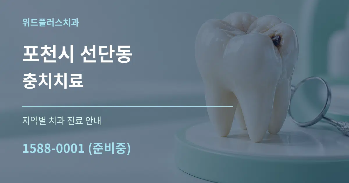 포천시 선단동 충치치료 대표 안내 그래픽