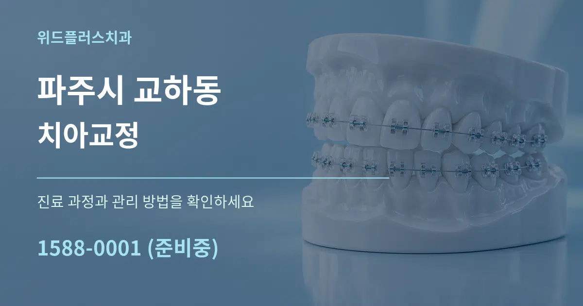 파주시 교하동 치아교정 작업 조건 안내 그래픽