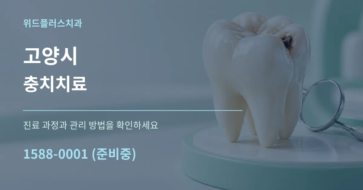 고양시 충치치료 작업 조건 안내 그래픽