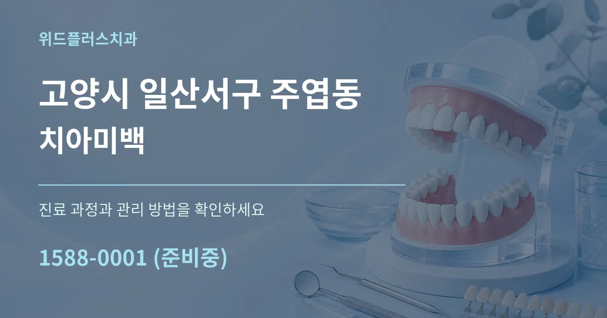고양시 일산서구 주엽동 치아미백 서비스 이용 안내 그래픽