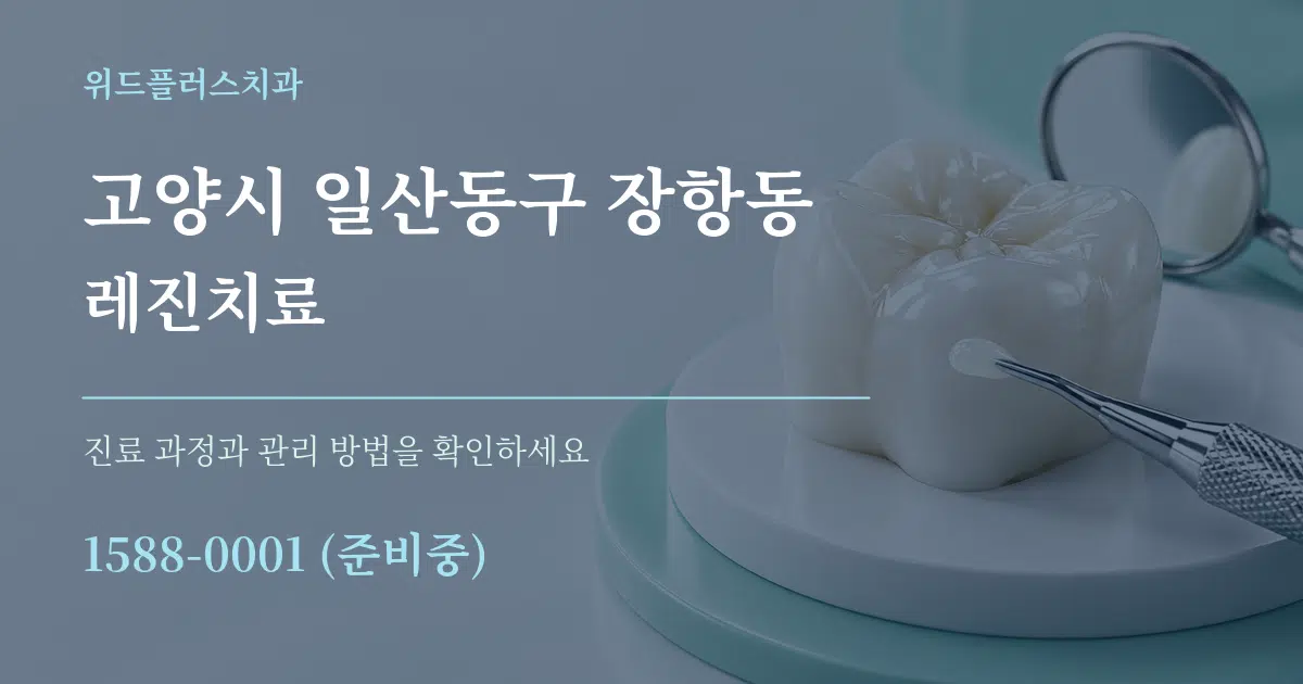 고양시 일산동구 장항동 레진치료 서비스 이용 안내 그래픽