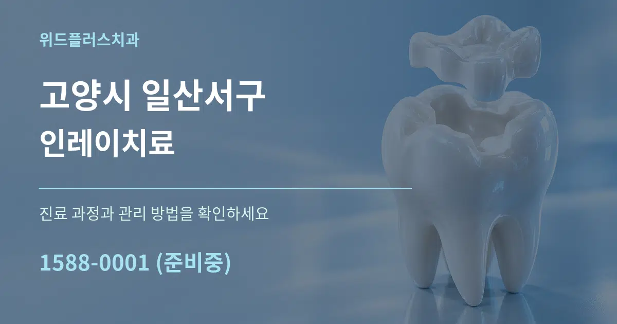 고양시 일산서구 인레이치료 서비스 이용 안내 그래픽