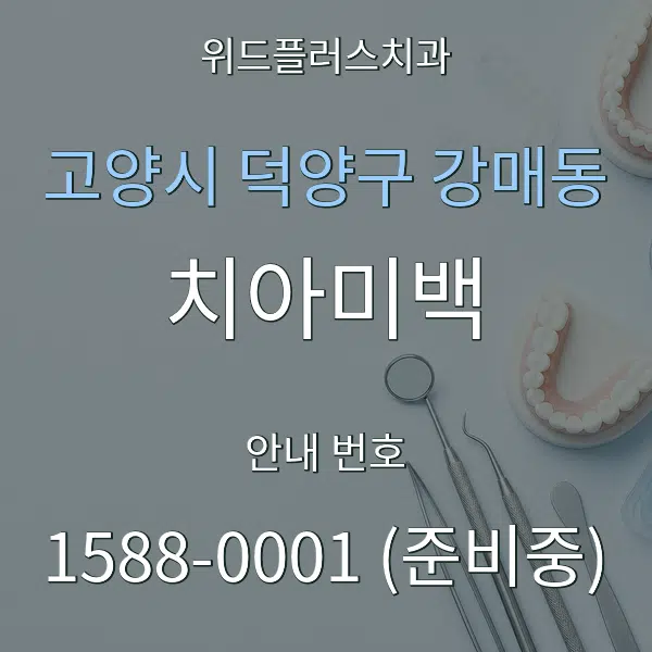 고양시 덕양구 강매동 치아미백 대표 안내 그래픽