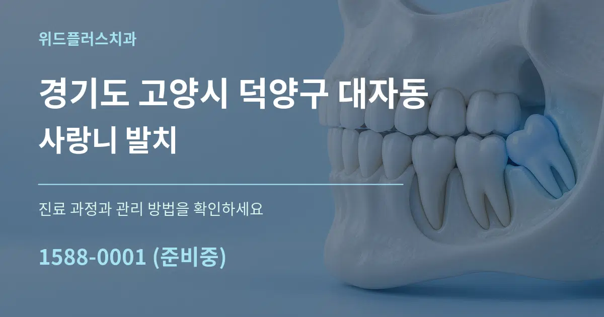 경기도 고양시 덕양구 대자동 사랑니 발치 서비스 이용 안내 그래픽