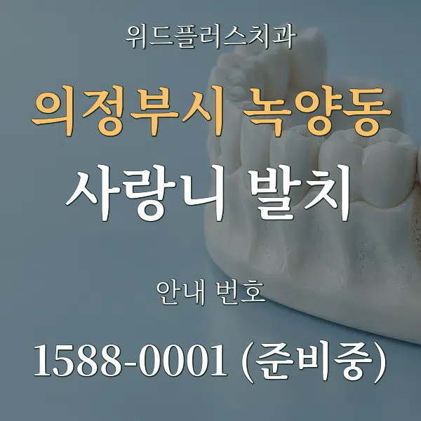 의정부시 녹양동 사랑니 발치 대표 안내 그래픽