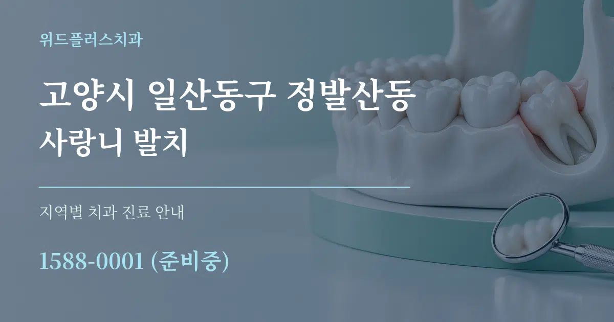 고양시 일산동구 정발산동 사랑니 발치 대표 안내 그래픽