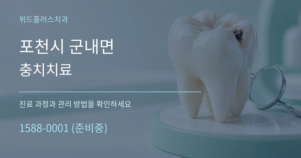 포천시 군내면 충치치료 서비스 이용 안내 그래픽