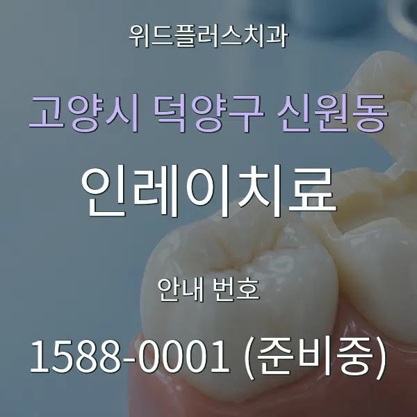 고양시 덕양구 신원동 인레이치료 대표 안내 그래픽