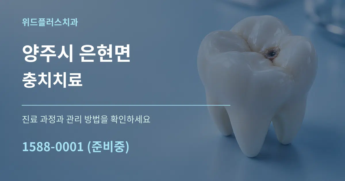 양주시 은현면 충치치료 서비스 이용 안내 그래픽