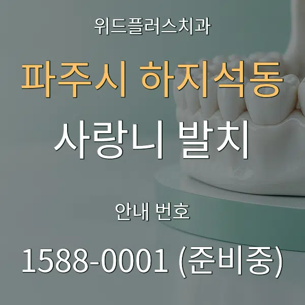 파주시 하지석동 사랑니 발치 대표 안내 그래픽