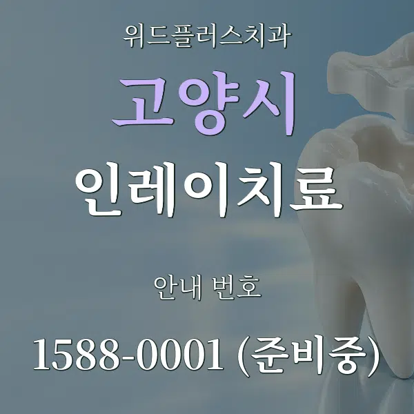 고양시 인레이치료 대표 안내 그래픽