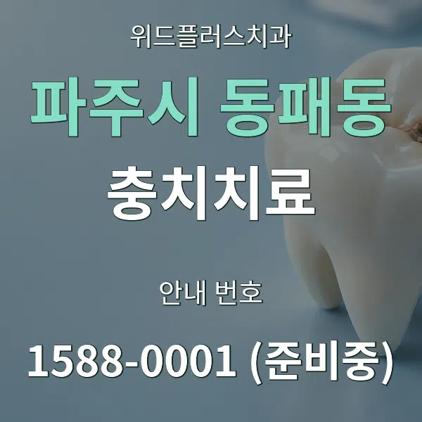 파주시 동패동 충치치료 대표 안내 그래픽