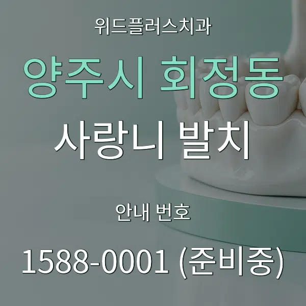 양주시 회정동 사랑니 발치 대표 안내 그래픽