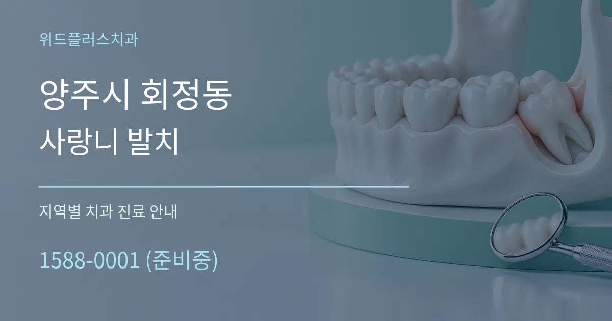 양주시 회정동 사랑니 발치 대표 안내 그래픽