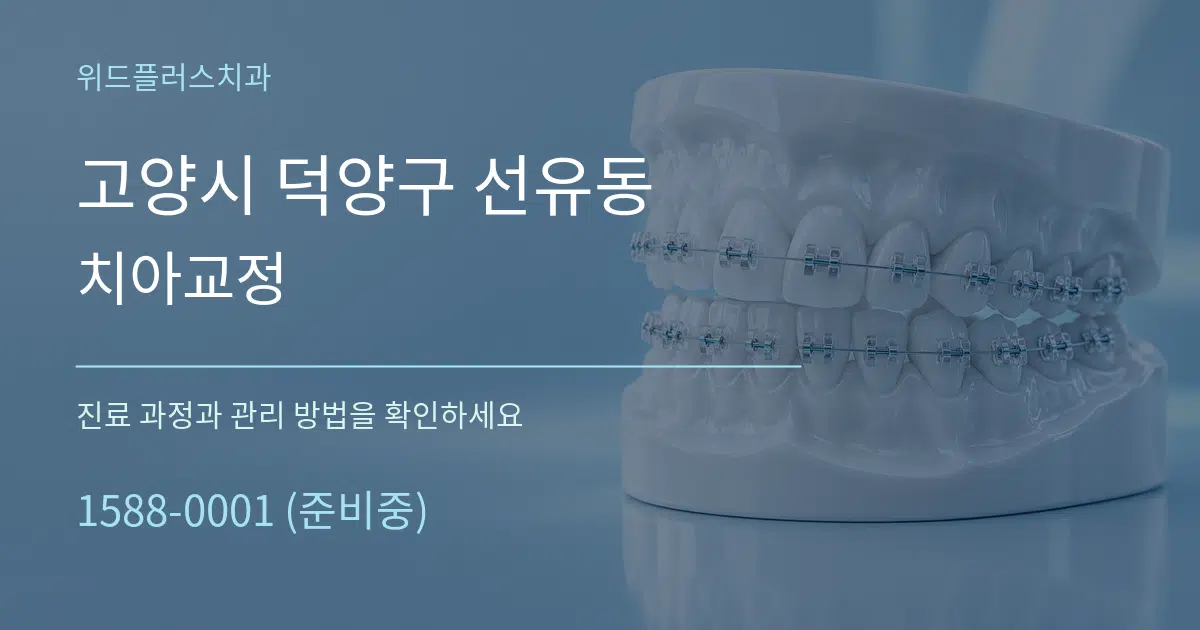 고양시 덕양구 선유동 치아교정 작업 조건 안내 그래픽