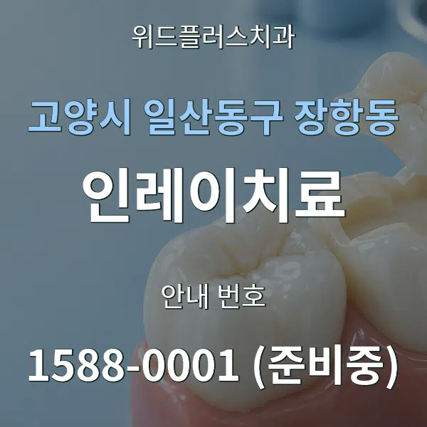 고양시 일산동구 장항동 인레이치료 대표 안내 그래픽