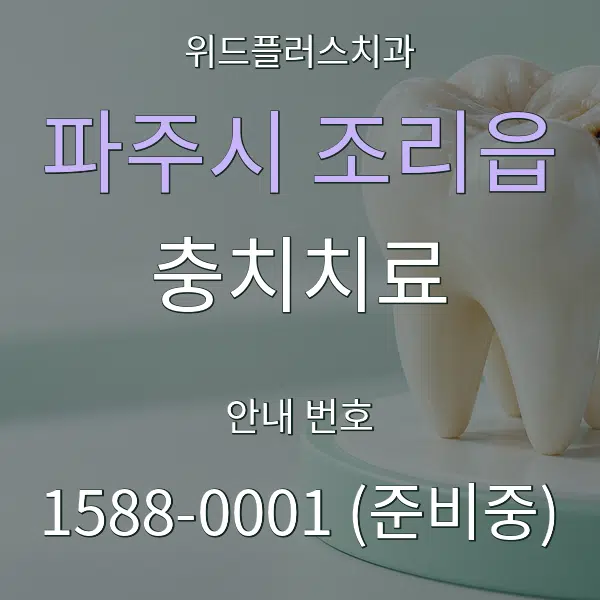 파주시 조리읍 충치치료 대표 안내 그래픽
