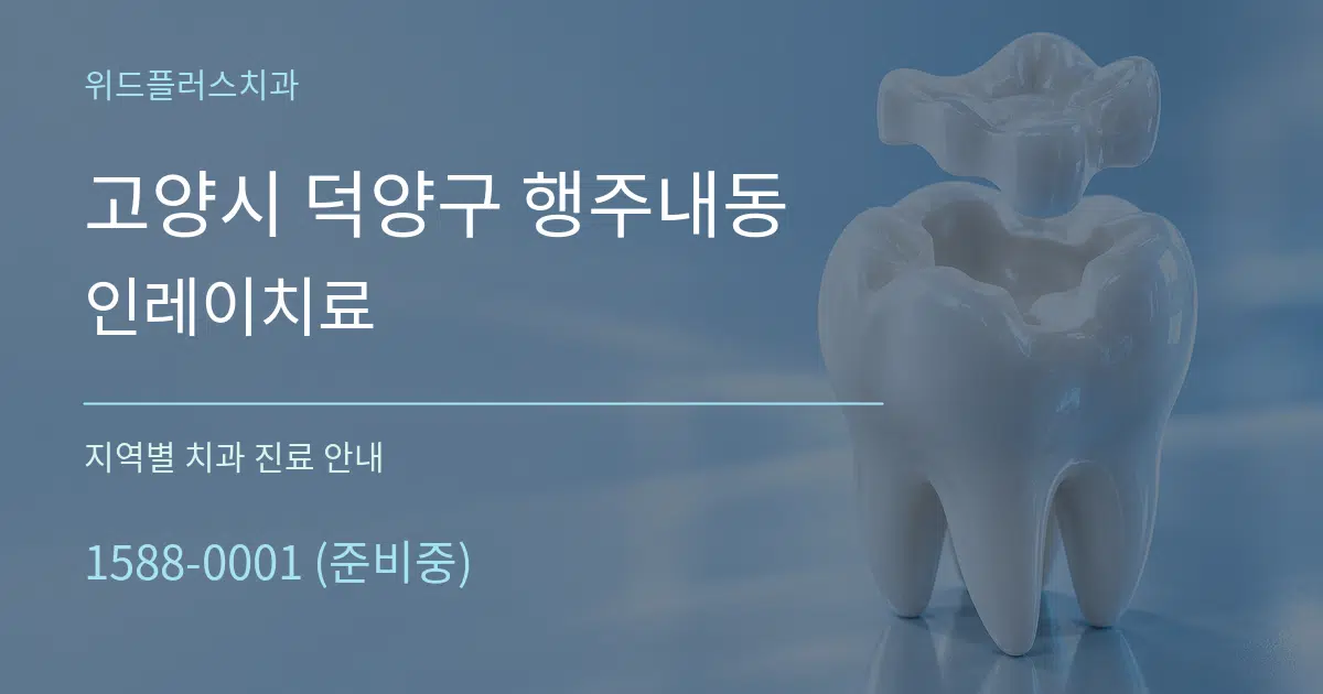 고양시 덕양구 행주내동 인레이치료 대표 안내 그래픽