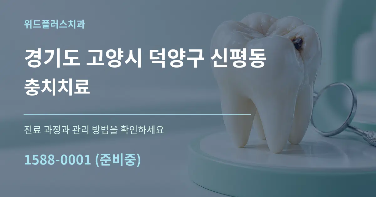 경기도 고양시 덕양구 신평동 충치치료 서비스 이용 안내 그래픽