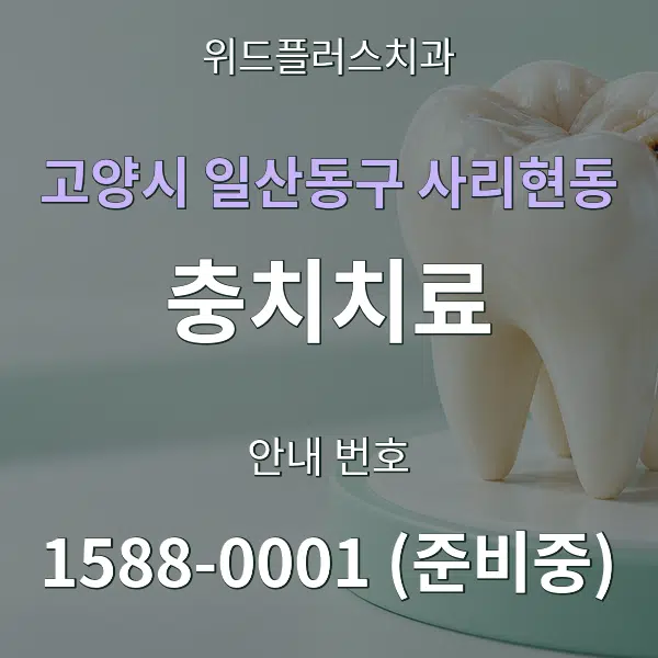 고양시 일산동구 사리현동 충치치료 대표 안내 그래픽
