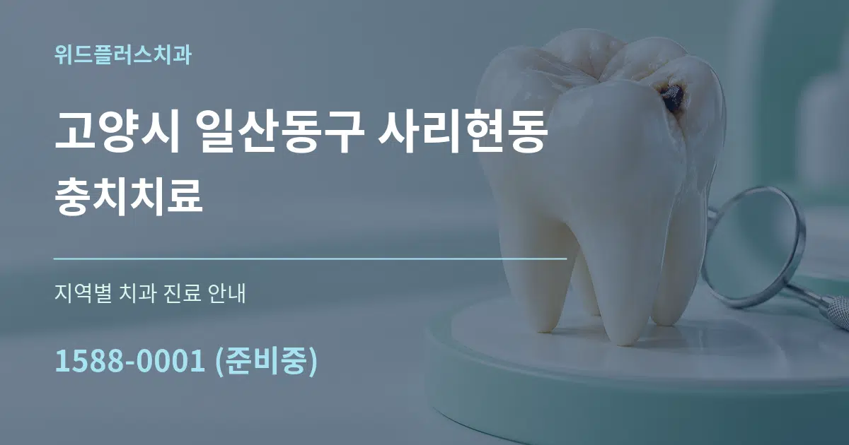 고양시 일산동구 사리현동 충치치료 대표 안내 그래픽