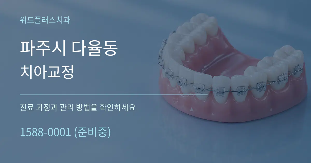 파주시 다율동 치아교정 작업 조건 안내 그래픽
