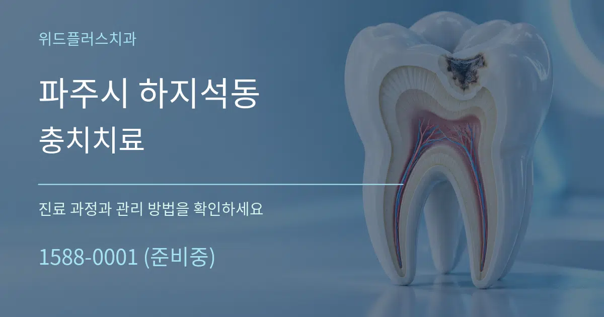 파주시 하지석동 충치치료 서비스 이용 안내 그래픽