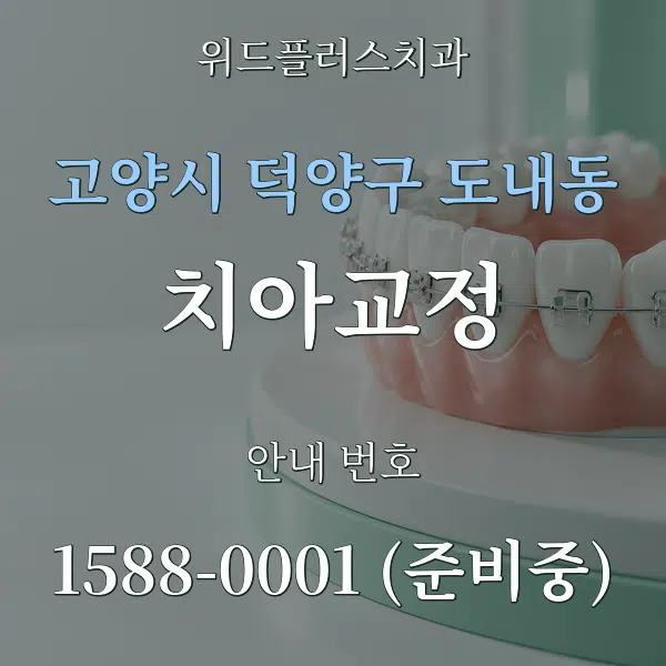 고양시 덕양구 도내동 치아교정 대표 안내 그래픽