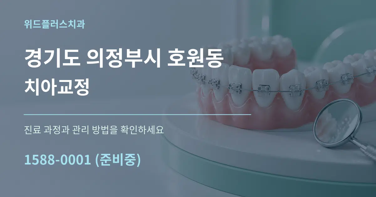 경기도 의정부시 호원동 치아교정 서비스 이용 안내 그래픽