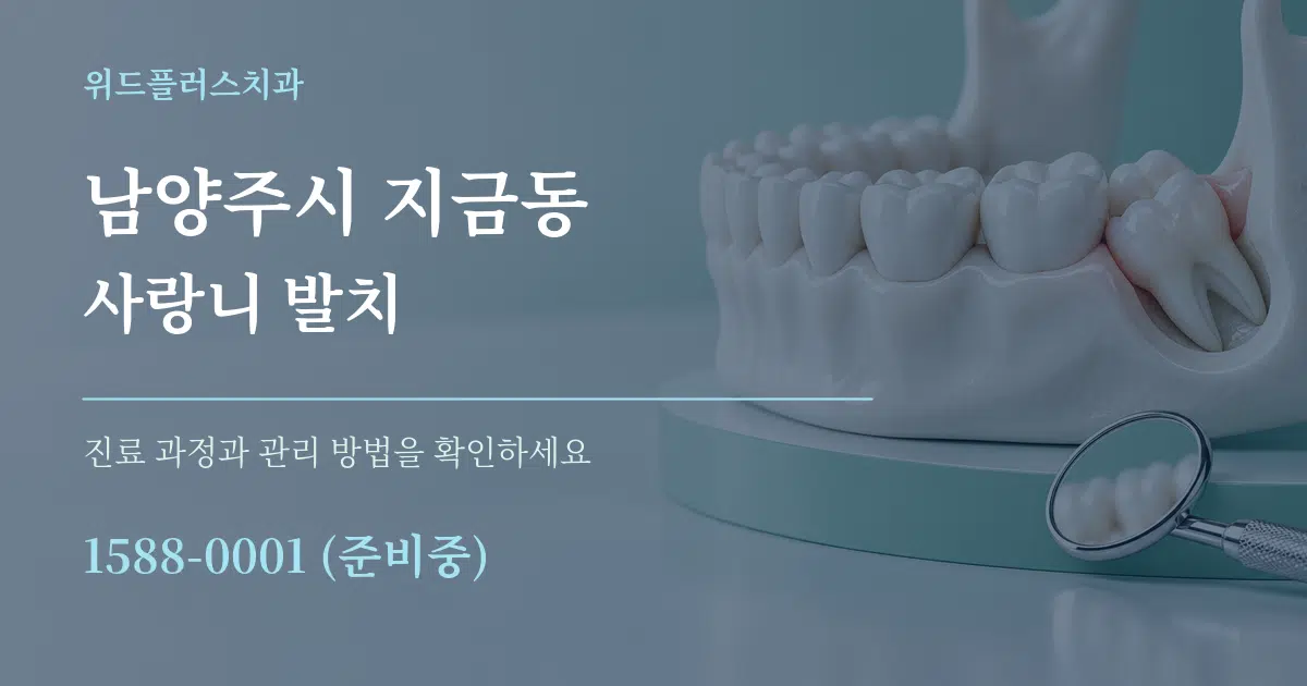 남양주시 지금동 사랑니 발치 서비스 이용 안내 그래픽