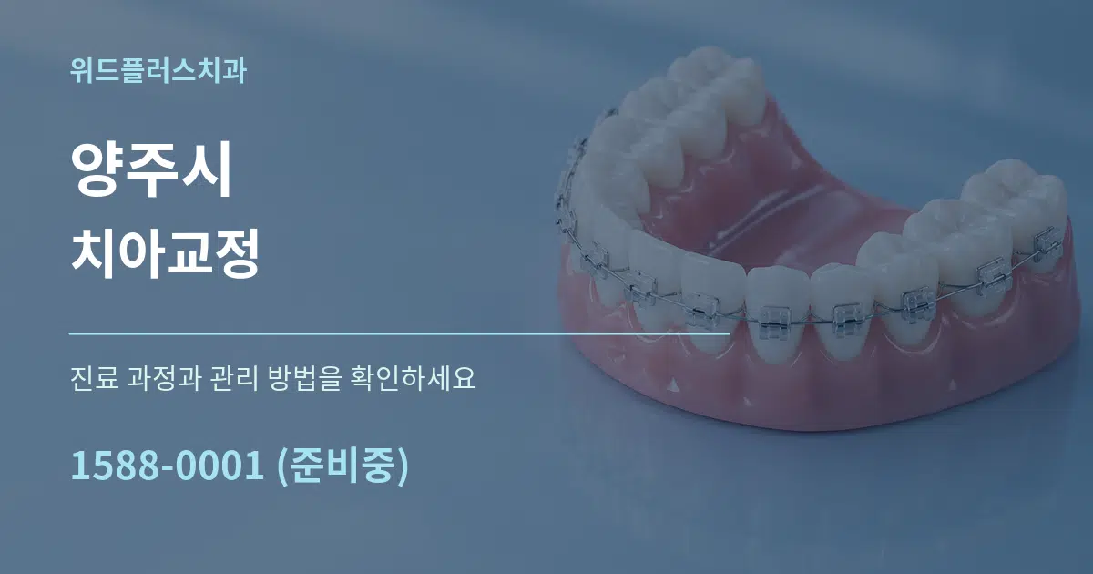 양주시 치아교정 작업 조건 안내 그래픽