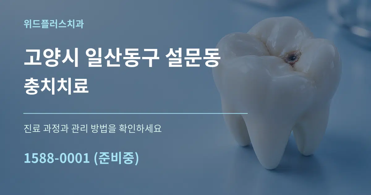고양시 일산동구 설문동 충치치료 서비스 이용 안내 그래픽