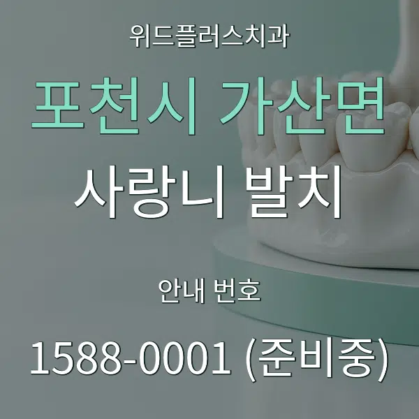 포천시 가산면 사랑니 발치 대표 안내 그래픽