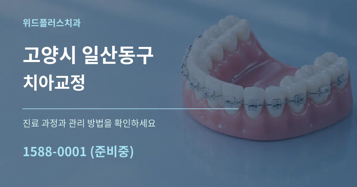 고양시 일산동구 치아교정 서비스 이용 안내 그래픽