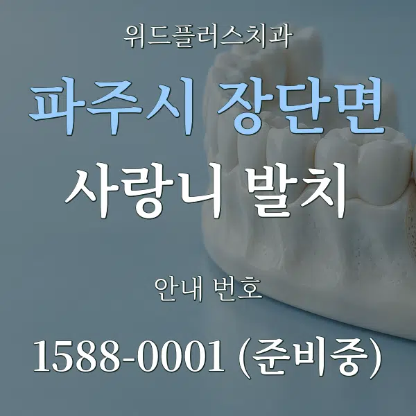 파주시 장단면 사랑니 발치 대표 안내 그래픽