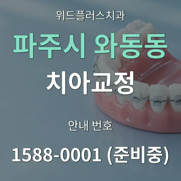 파주시 와동동 치아교정 대표 안내 그래픽