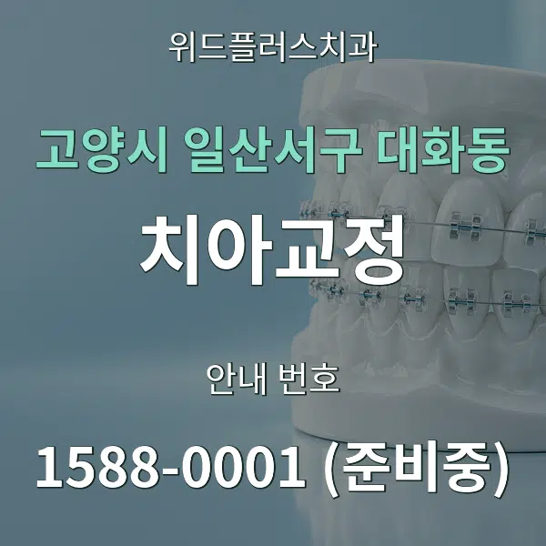 고양시 일산서구 대화동 치아교정 대표 안내 그래픽