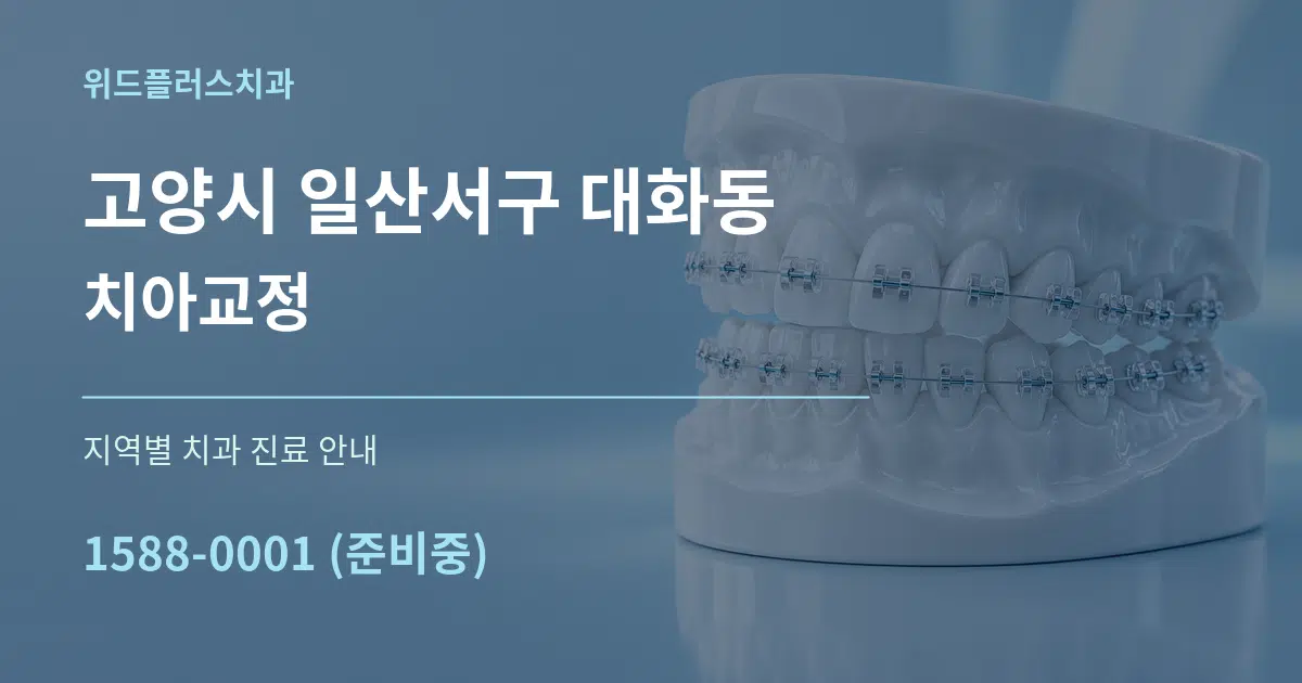 고양시 일산서구 대화동 치아교정 대표 안내 그래픽
