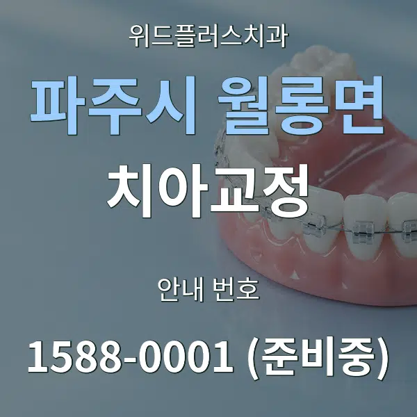 파주시 월롱면 치아교정 대표 안내 그래픽