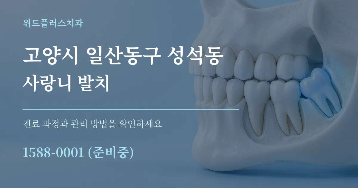 고양시 일산동구 성석동 사랑니 발치 작업 조건 안내 그래픽