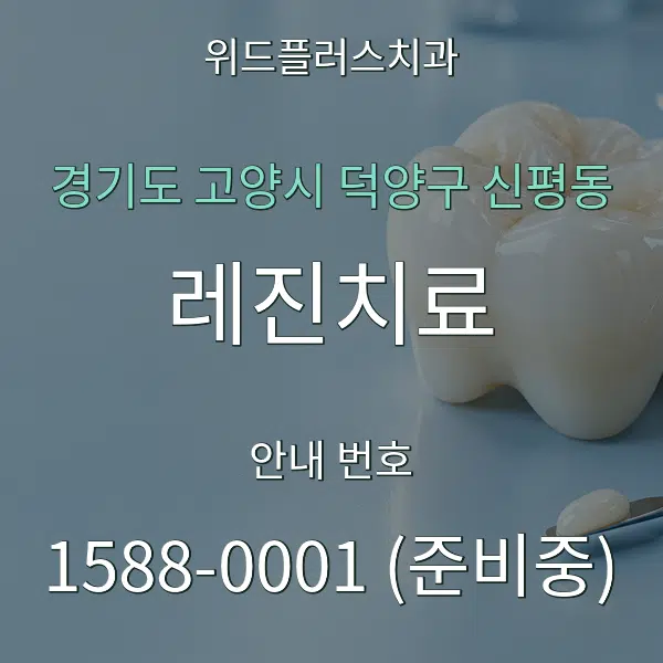 경기도 고양시 덕양구 신평동 레진치료 대표 안내 그래픽