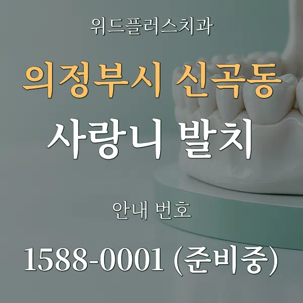 의정부시 신곡동 사랑니 발치 대표 안내 그래픽