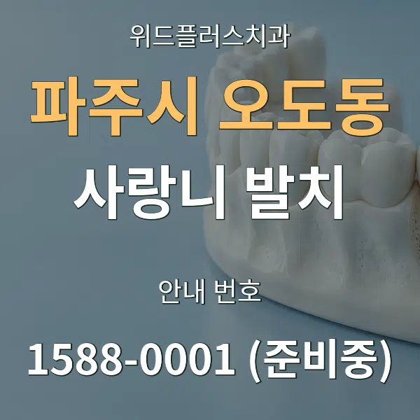 파주시 오도동 사랑니 발치 대표 안내 그래픽