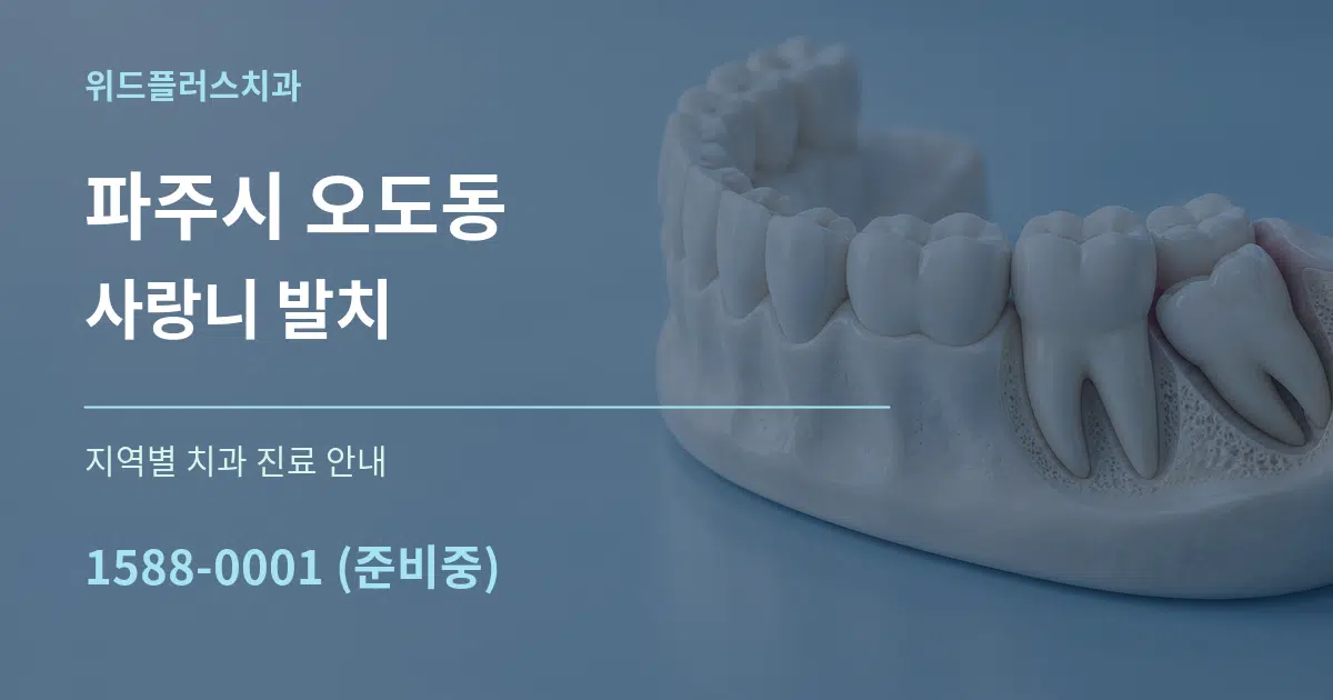 파주시 오도동 사랑니 발치 대표 안내 그래픽