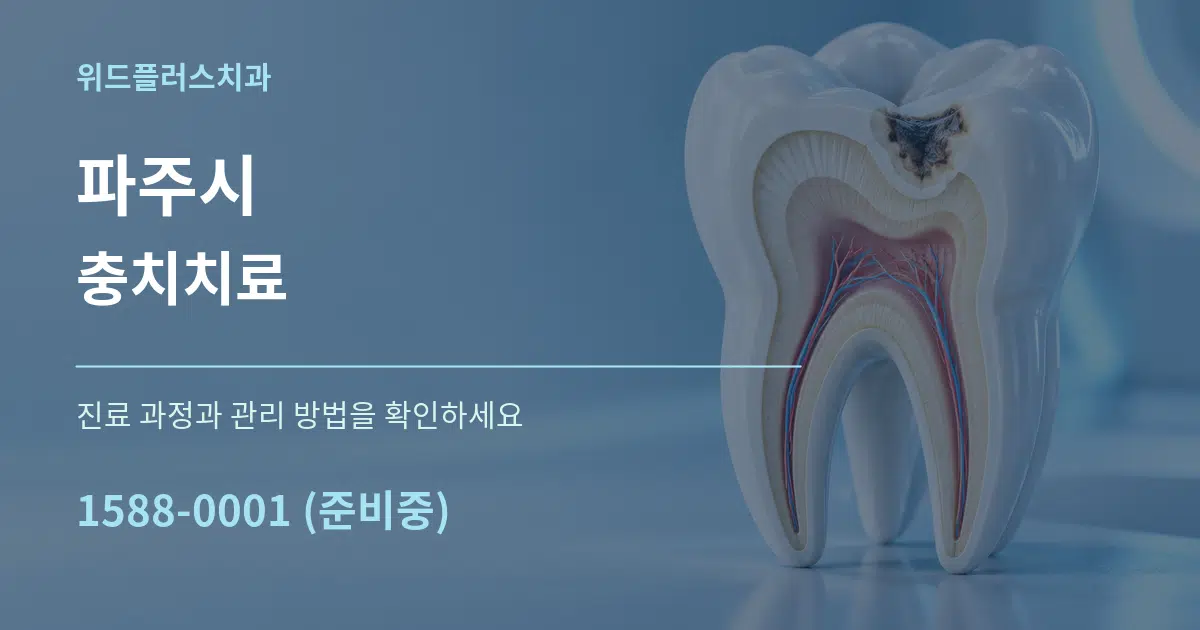 파주시 충치치료 서비스 이용 안내 그래픽